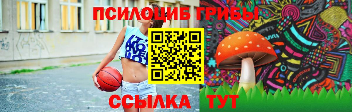 Псилоцибиновые грибы MAGIC MUSHROOMS  Вход с VPN  Вышний Волочёк  Псилоцибиновые грибы мицелий 