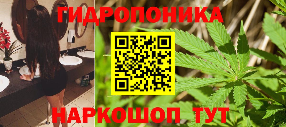 Бошки Шишки White Widow Вышний Волочёк