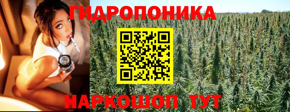 Вышний Волочёк  Бошки Шишки конопля  Вход с VPN  МАРИХУАНА Ganja 